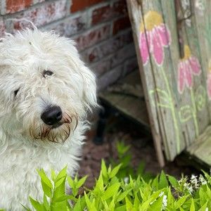 Meet your Posher, Jeff